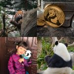 level 4380
