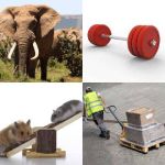 4 Bilder 1 Wort Ebene 6