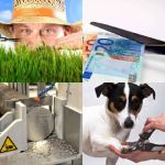 level 757