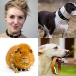 level 3549