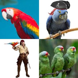 4 Bilder 1 Wort 2103