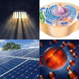 4 Bilder 1 Wort Juli 18 2020 Bonus Puzzle