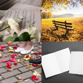 4 bilder 1 wort level 4140