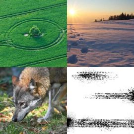 4 bilder 1 wort level 4316