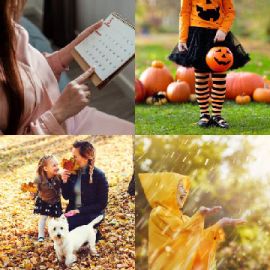 4 Bilder 1 Wort Oktober 20 2020 Bonus Puzzle