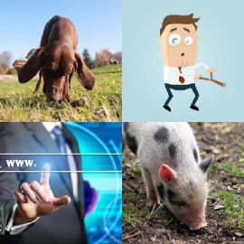4 bilder 1 wort level 3847