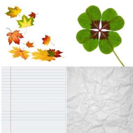 4 bilder 1 wort level 3881