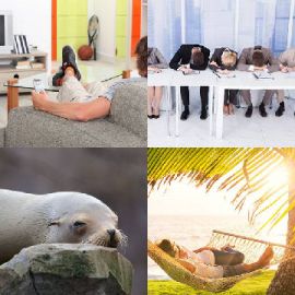 4 bilder 1 wort level 3890