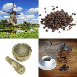 4 Bilder 1 Wort September 8 2019 Bonus Puzzle