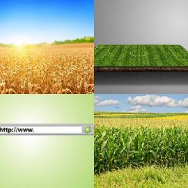 4 bilder 1 wort level 3583