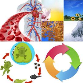 4 Bilder 1 Wort November 23 2019 Bonus Puzzle