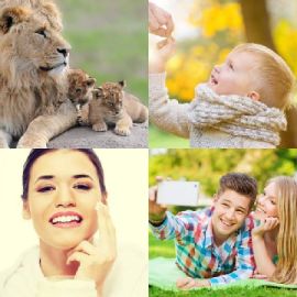4 bilder 1 wort level 4303