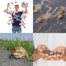 4 Bilder 1 Wort August 14 2020 Bonus Puzzle
