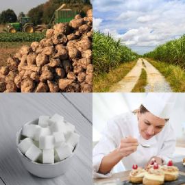 4 Bilder 1 Wort Tägliche Rätsel April 23 2019