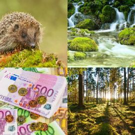 4 Bilder 1 Wort Tägliche Rätsel Juni 12 2018