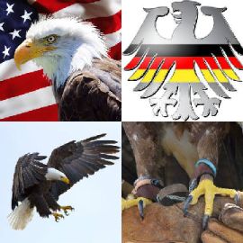 4 Bilder 1 Wort Tägliche Rätsel Januar 28 2019