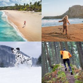 4 Bilder 1 Wort Tägliche Rätsel Juli 20 2024