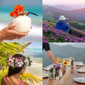 4 Bilder 1 Wort Tägliche Rätsel Juli 28 2024