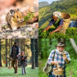 4 Bilder 1 Wort Juli 15 2024 Bonus Puzzle