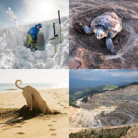 4 Bilder 1 Wort Juli 26 2024 Bonus Puzzle