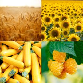 4 Bilder 1 Wort Oktober 6 2024 Bonus Puzzle