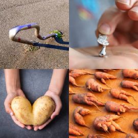 4 Bilder 1 Wort November 29 2024 Bonus Puzzle