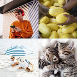 4 Bilder 1 Wort level 863