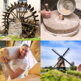 4 Bilder 1 Wort level 12