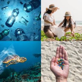4 Bilder 1 Wort Tägliche Rätsel Juli 4 2025