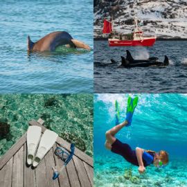 4 Bilder 1 Wort Juli 5 2025 Bonus Puzzle