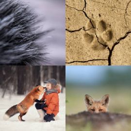 4 Bilder 1 Wort Tägliche Rätsel April 17 2026
