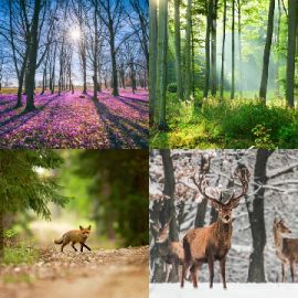 4 Bilder 1 Wort Tägliche Rätsel April 14 2026