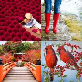 4 Bilder 1 Wort April 13 2026 Bonus Puzzle