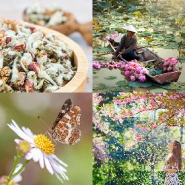 4 Bilder 1 Wort April 27 2026 Bonus Puzzle
