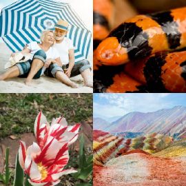 4 Bilder 1 Wort April 15 2026 Bonus Puzzle