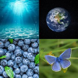 4 Bilder 1 Wort April 3 2026 Bonus Puzzle