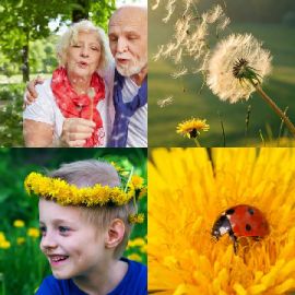 4 Bilder 1 Wort level 2480